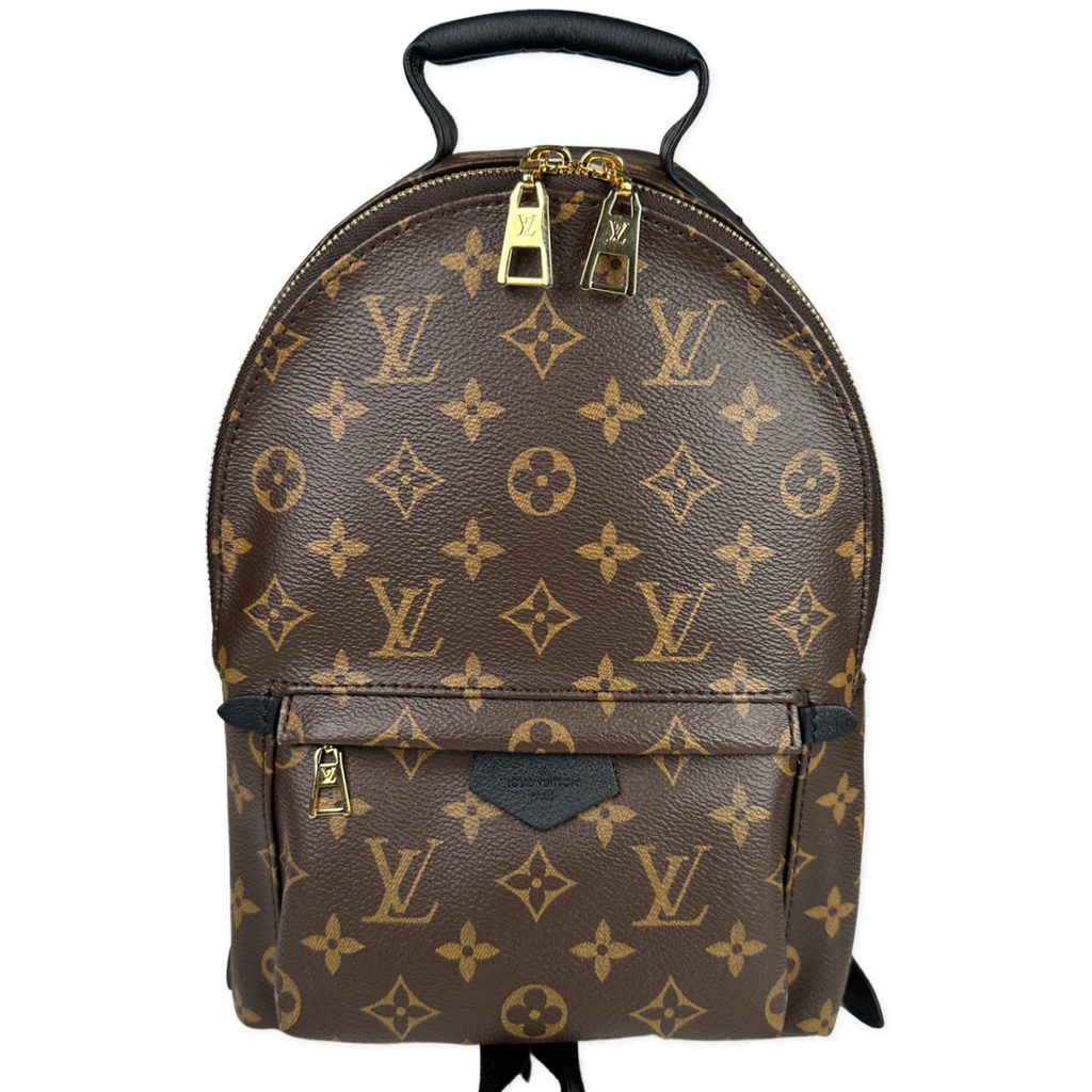 Louis Vuitton Palm Springs PM Monogram Backpack
