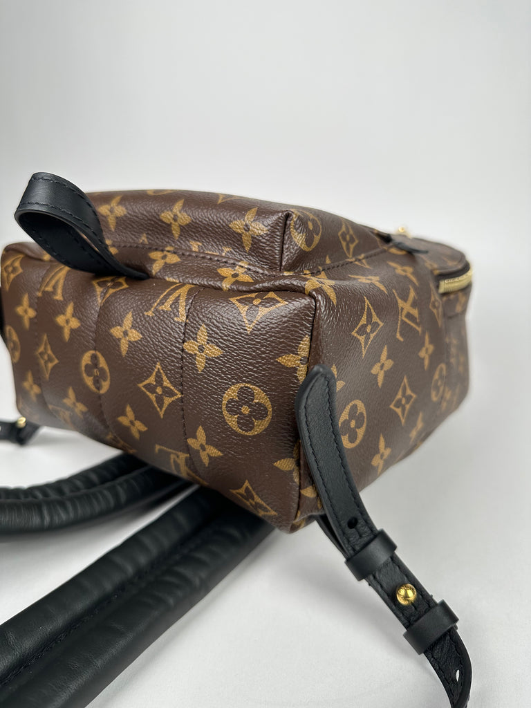 Louis Vuitton Palm Springs PM Monogram Backpack