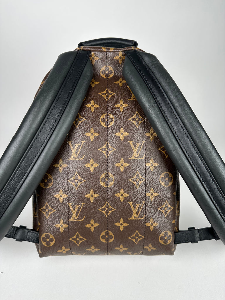 Louis Vuitton Palm Springs PM Monogram Backpack
