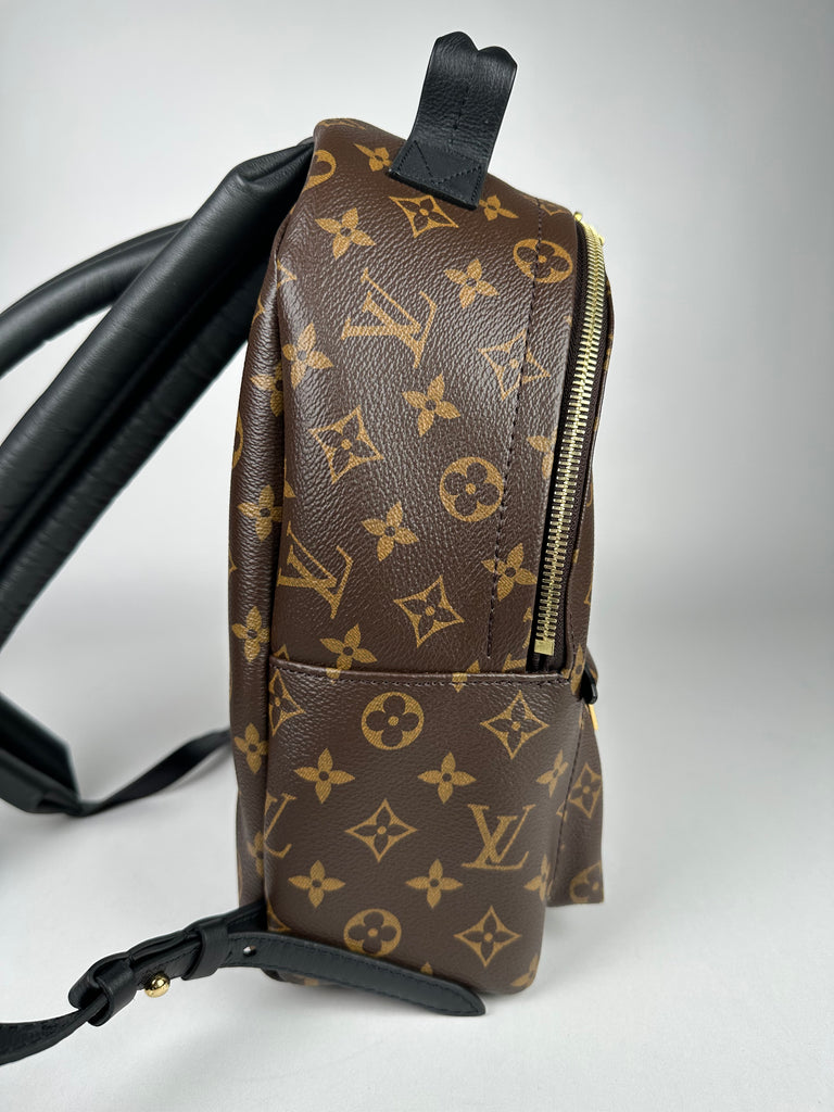 Louis Vuitton Palm Springs PM Monogram Backpack