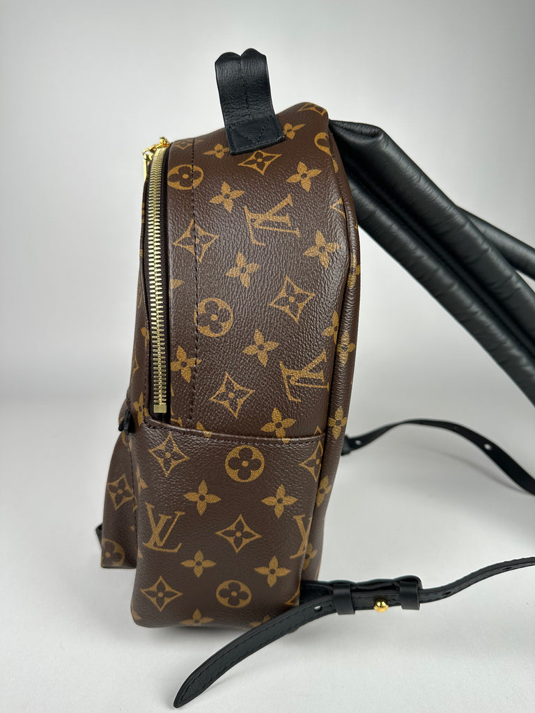 Louis Vuitton Palm Springs PM Monogram Backpack